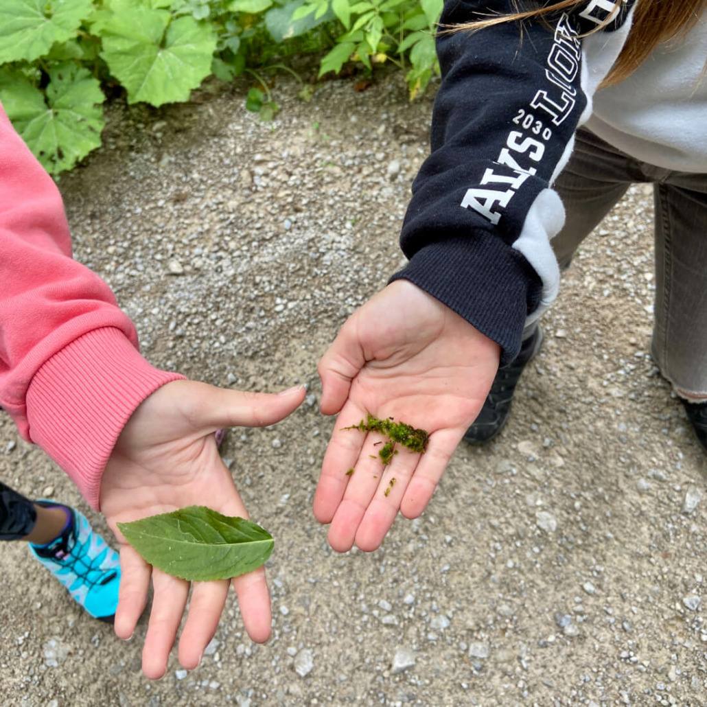 Fantasienamen ausdenken für verschiedene Pflanzen ist ein Highlight einer Schatzsuche-Wanderung