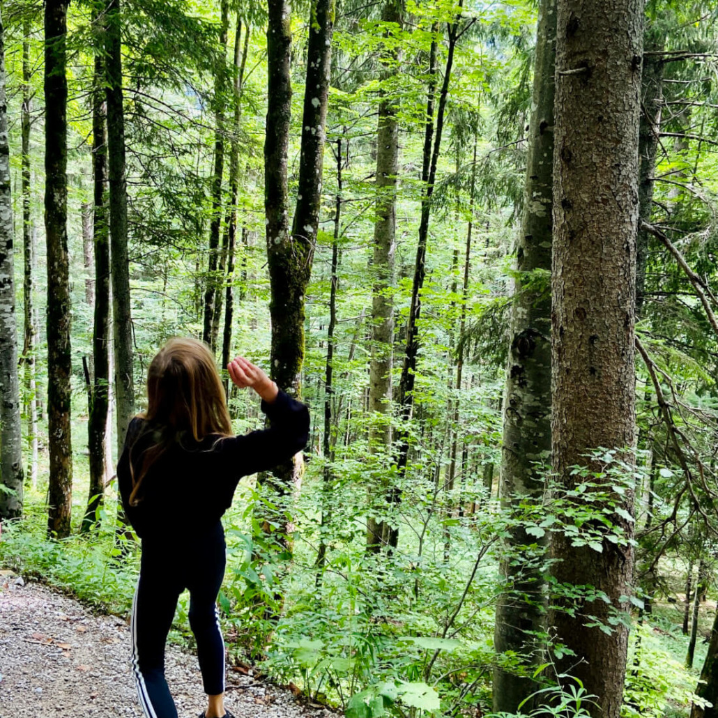 Mit einem Stein durch eine Baumgabel werfen